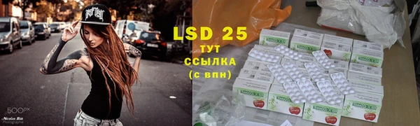 дмт Кукмор