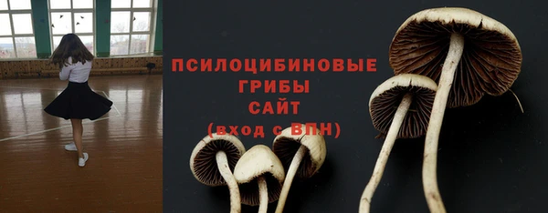 прущие крисы Лабытнанги