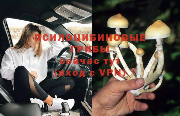 прущие крисы Лабытнанги