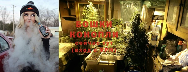 дмт Кукмор