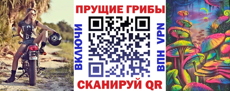 Псилоцибиновые грибы Cubensis  Лангепас 